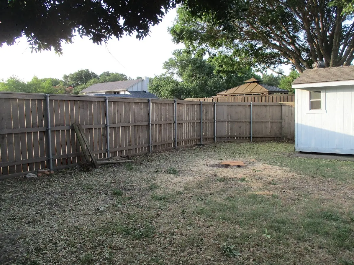 Cleared yard after professional tree removal in Shelter Island Heights